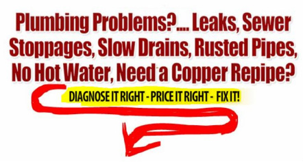 info graphic; plumbing problems.... leaks, sewer stoppages, slow drains, rusted pipes, no hot water, need a copper repipe?