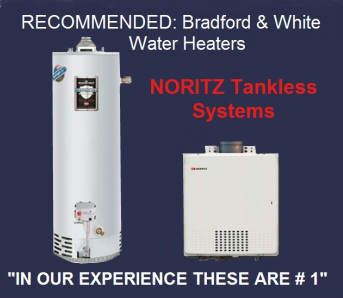 info graphic; bradford and white water heaters and noritz tankless recommended by champion plumbing